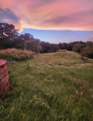 44.89 ACRES MOL, GARBER, OK 73738 - Image 1